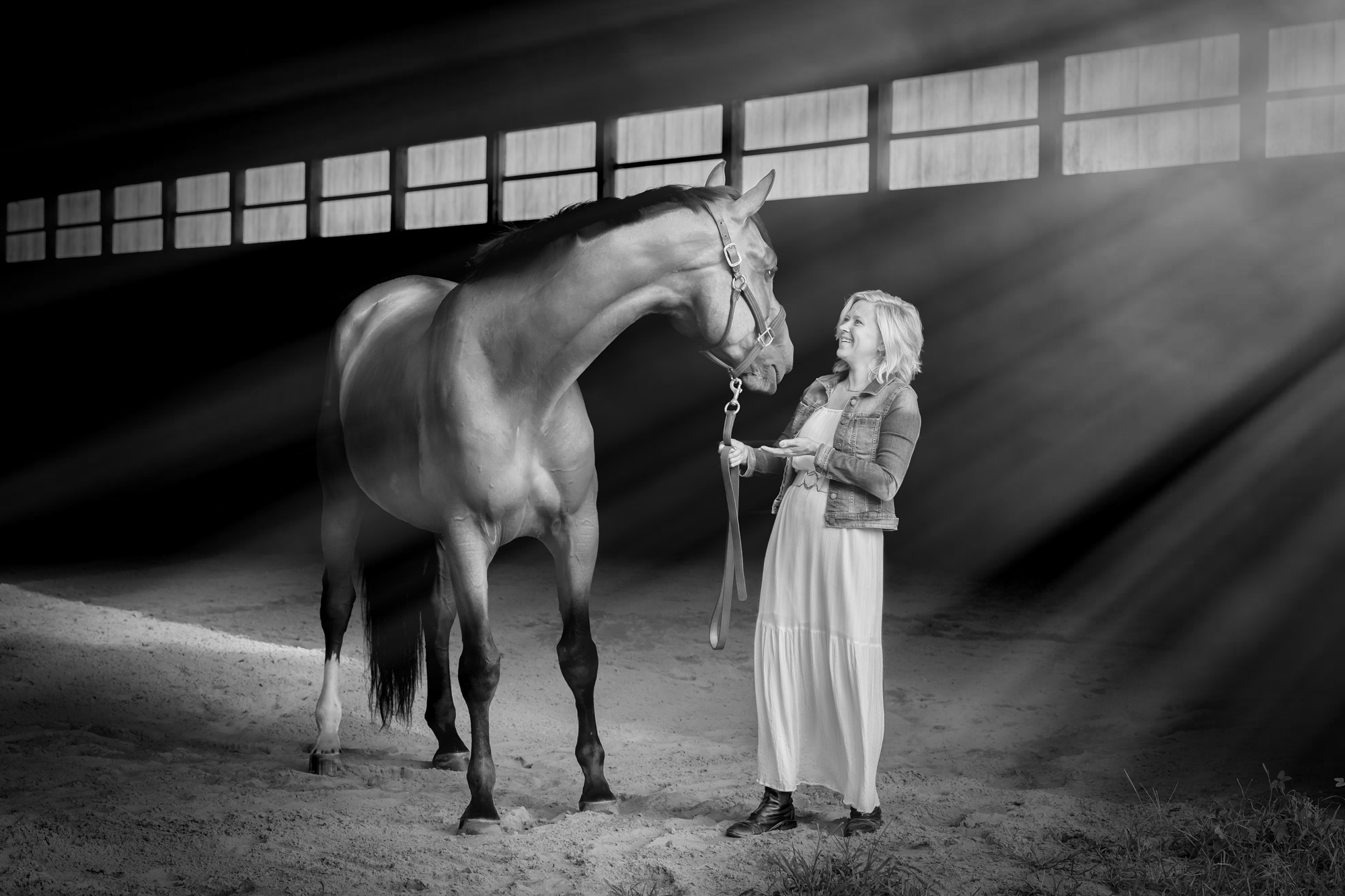 Equestrain Photography in Medford New Jersey