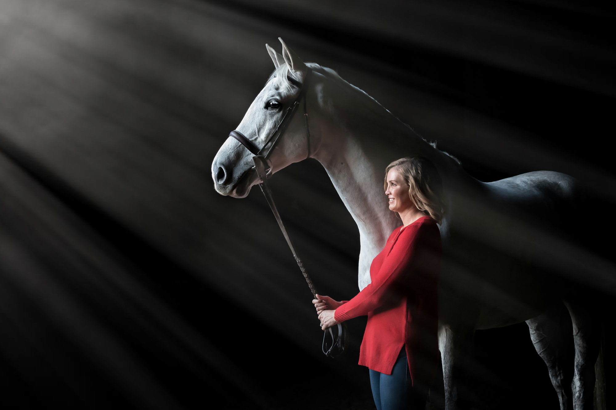 Equine Photography in Medford New Jersey