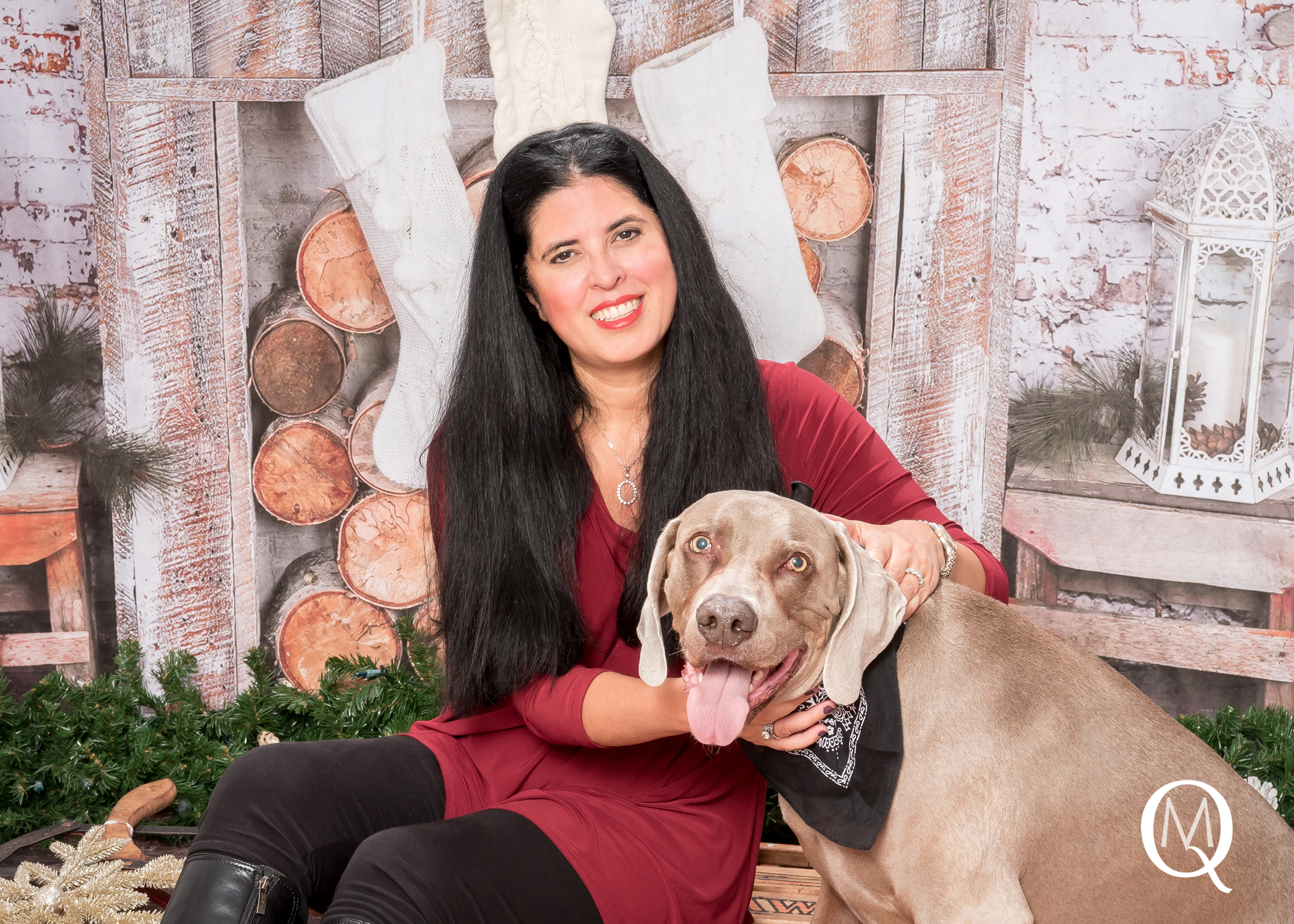 Pets included in a Christmas Mini Photo Session in Medford, New Jersey.